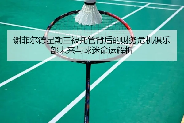 谢菲尔德星期三被托管背后的财务危机俱乐部未来与球迷命运解析