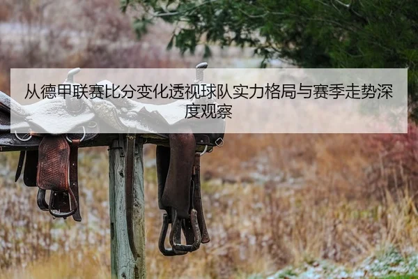 从德甲联赛比分变化透视球队实力格局与赛季走势深度观察